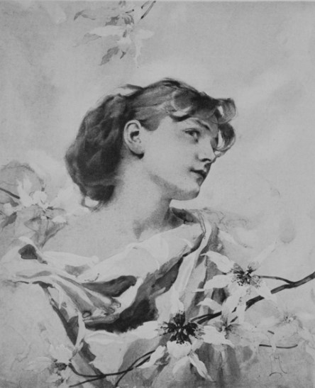 Luděk Marold - Orchideje